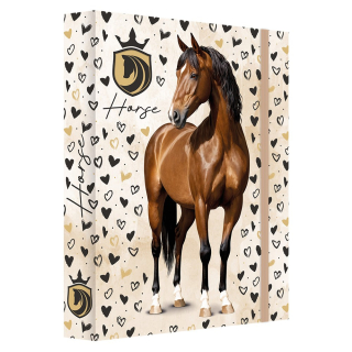 BOX NA ZOŠITY A4 - Horse