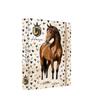 BOX NA ZOŠITY A5 - Horse